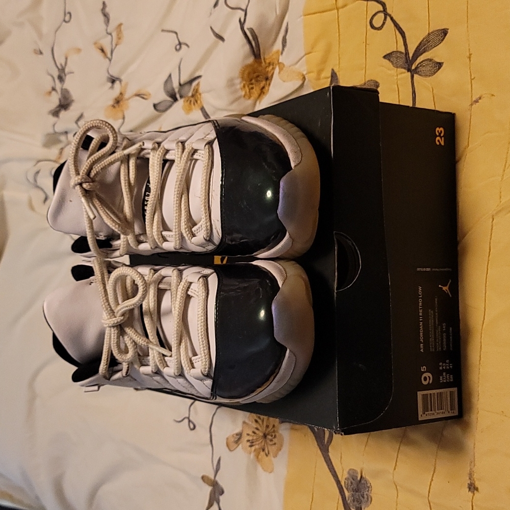 Air Jordan 11 retro low
